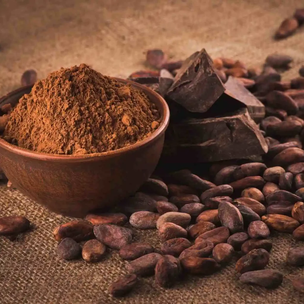 Chocolat cacao