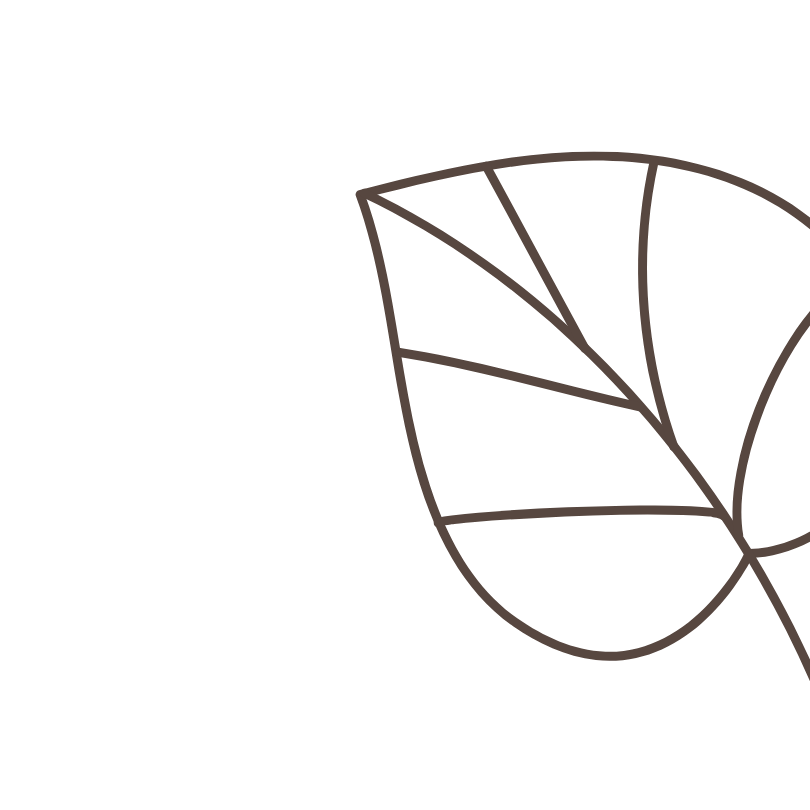 100 origine naturelle olmari