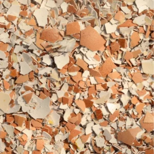 Coquilles doeufs olmari